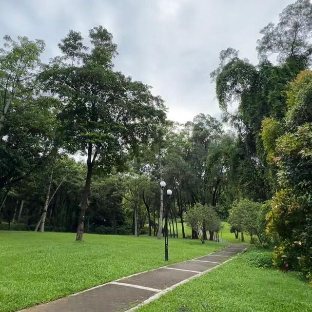 🤹🏻‍♂️蓮花山公園 | 遊山玩水🏵️