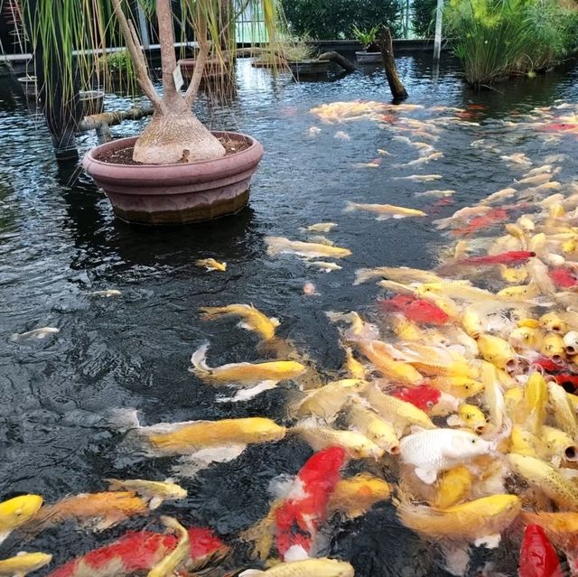 礁溪金車蘭花公園｜與動植物近距離親近🧡慵懶水豚君、愛抓癢大嘴鳥