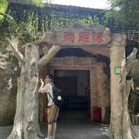 性價比超高的深圳野生動物園🦁
