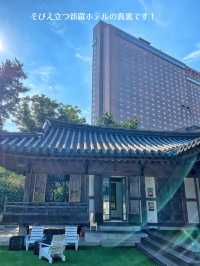 【韓国旅行】優雅✨思いっきり韓国らしさを感じる✨韓屋カフェ