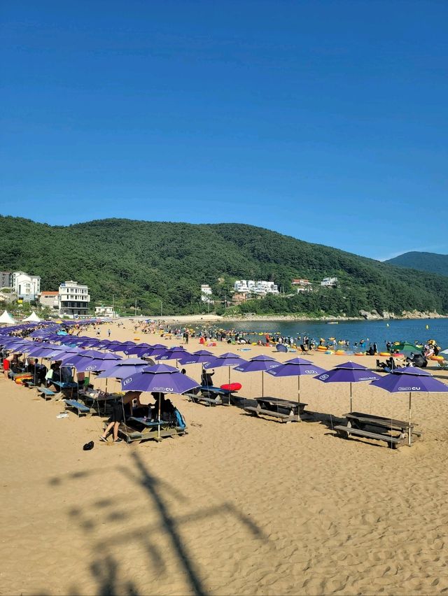 해수욕하기 좋은 거제도 호텔 거제리베라🏨