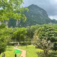 Into the Forest Krabi