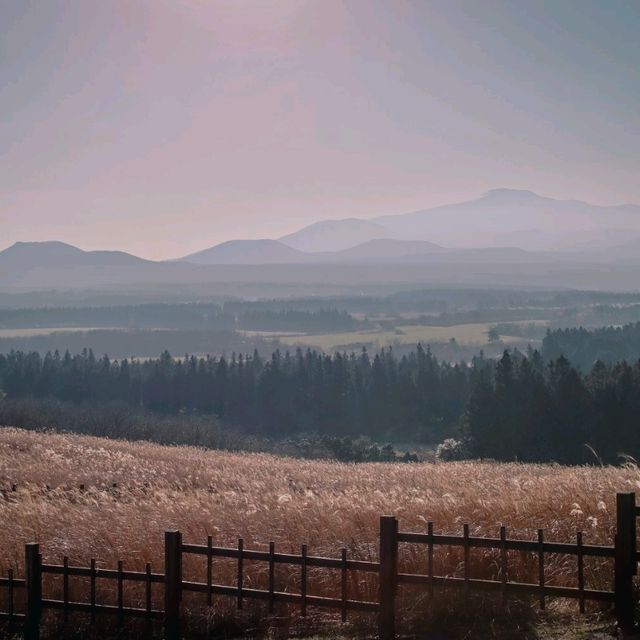 제주의 자연을 느끼려면? 산굼부리 ⛰️ 