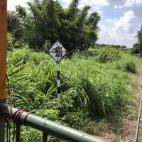 來臺南後壁區「烏樹林」，體驗世界上最慢的火車