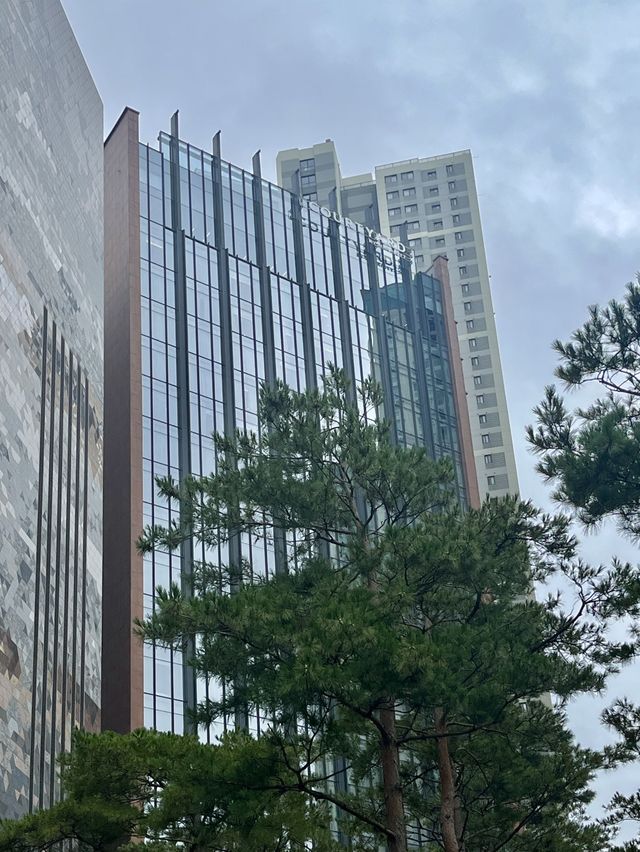 수원 호캉스 코트야드메리어트 호텔 후기