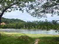 • ลิวง สวิตเซอร์แลนด์แดนจะนะ 🌲🪵