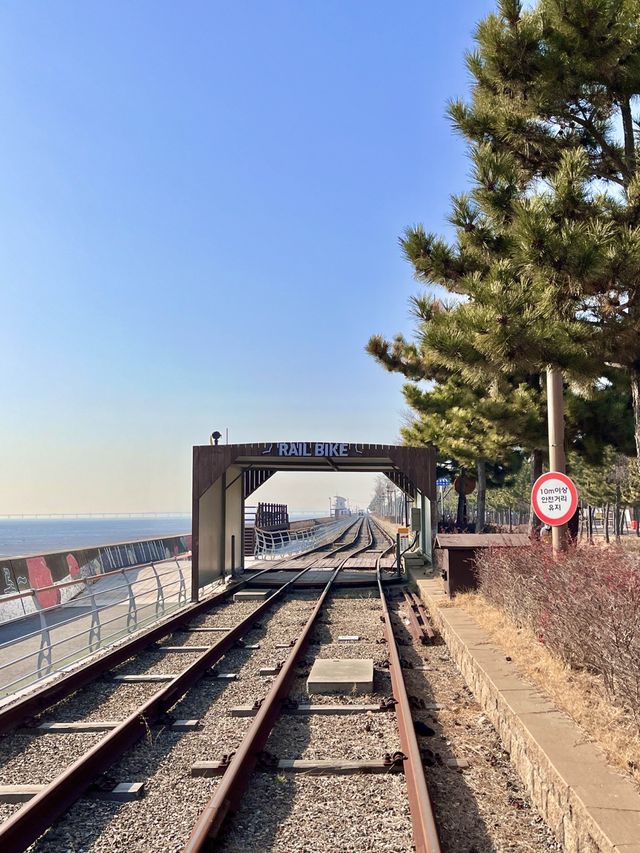 서해바다 보면서 페달 밟기! 영종도씨사이드 레일바이크🚲