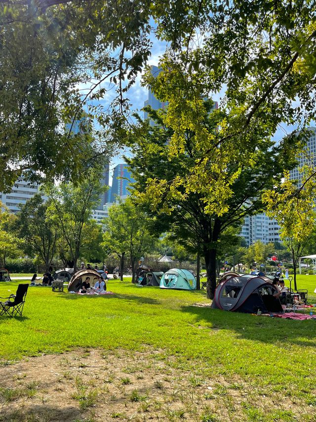 한강 여의도 피크닉 데이트☀️
