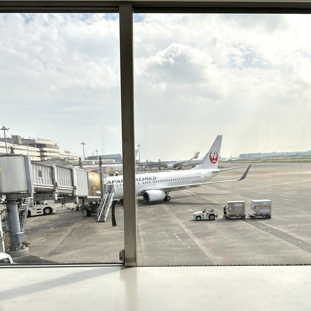 📍JAL国内線（羽田空港→釧路空港）搭乗記