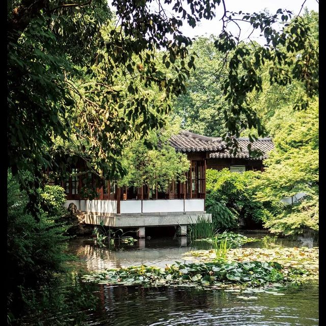 🏯🌸 可園博物館～嶺南園林的珍貴寶藏！🏯🌸🎎