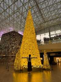 세상 제일 반짝이는 서점✨ 황금빛 대형트리 혼자 즐기는 방법🎄