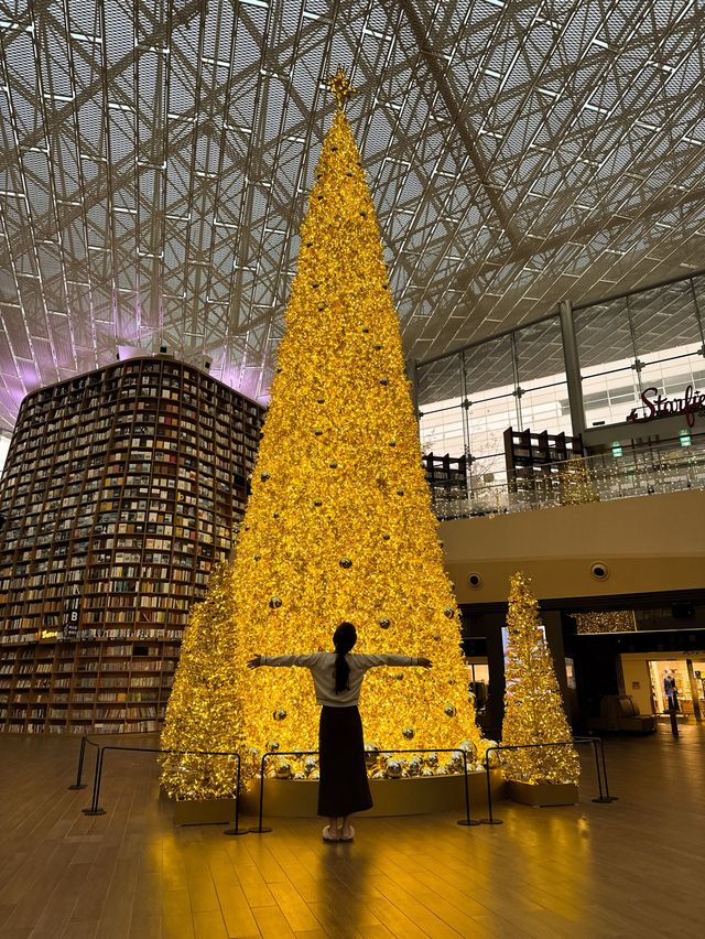 세상 제일 반짝이는 서점✨ 황금빛 대형트리 혼자 즐기는 방법🎄