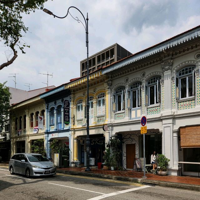 Joo Chiat's Peranakan Houses