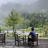 Virgin Forest - Danum Valley