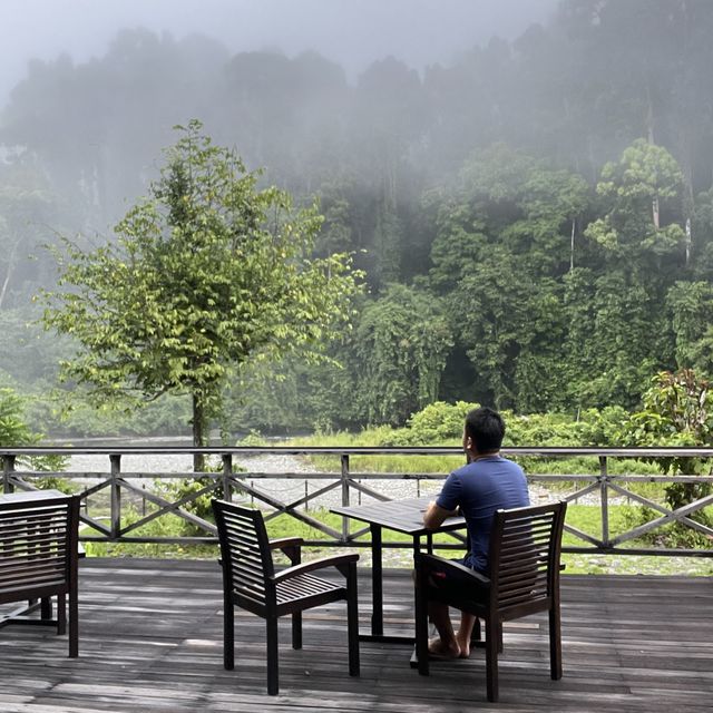 Virgin Forest - Danum Valley