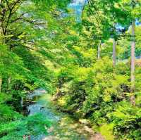 かずら橋