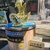 名古屋城的守護者【金鯱】