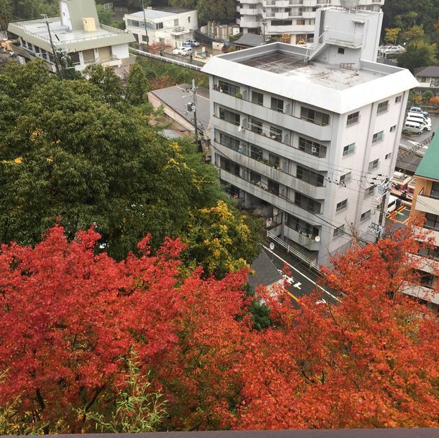 性格比極高的金湯溫泉旅館