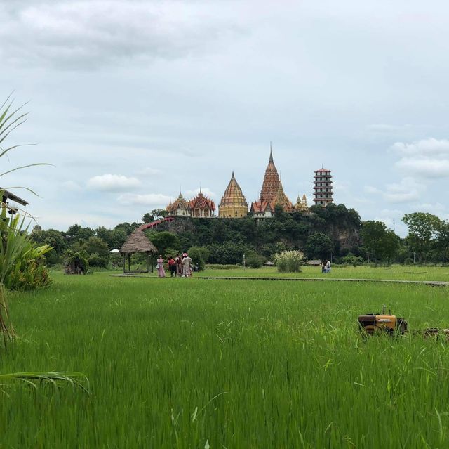 Cafe in the middle of rice field,Kanchanaburi