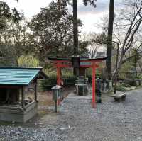 日本京都市清水寺 ～～淨化心靈同眼球