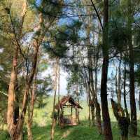 Bukit Lintang Sewu
