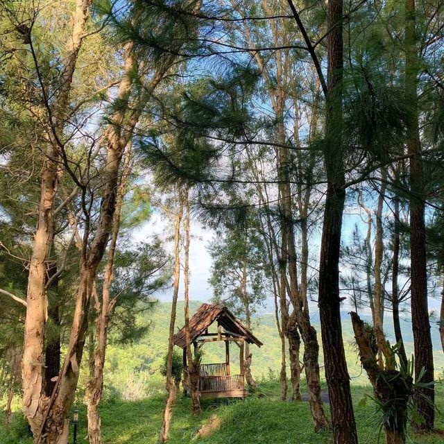 Bukit Lintang Sewu