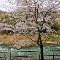 Sagano romantic train