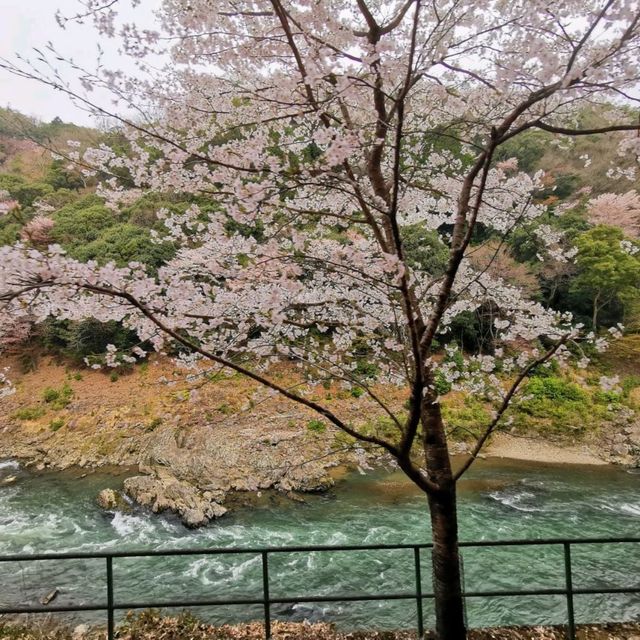 Sagano romantic train