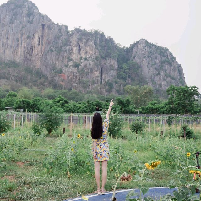 เขาฉกรรจ์ จ.สระแก้ว
