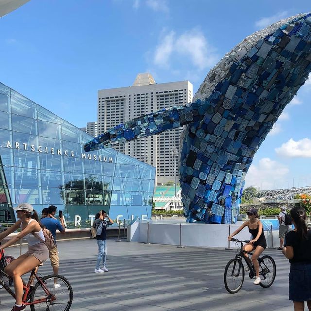 新加坡🇸🇬最具代表性建築❤️藝術科學博物館