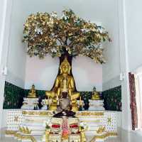วัดหาดปทุม อ.ศรีเชียงใหม่
