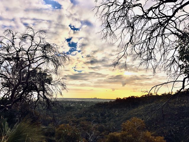 Skycrapers from afar!😎#minihikingLesmurdie🤓