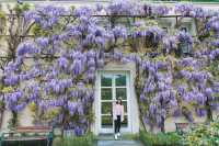 Mirabell Palace and Gardens