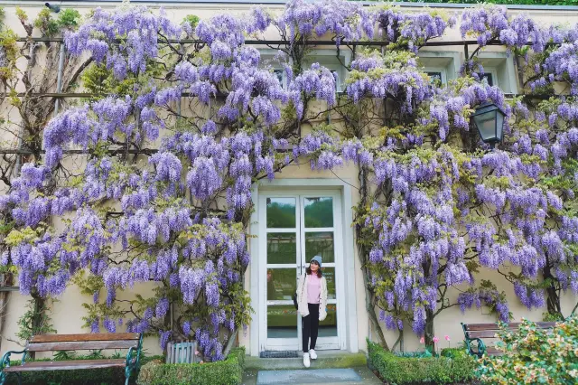 Mirabell Palace and Gardens