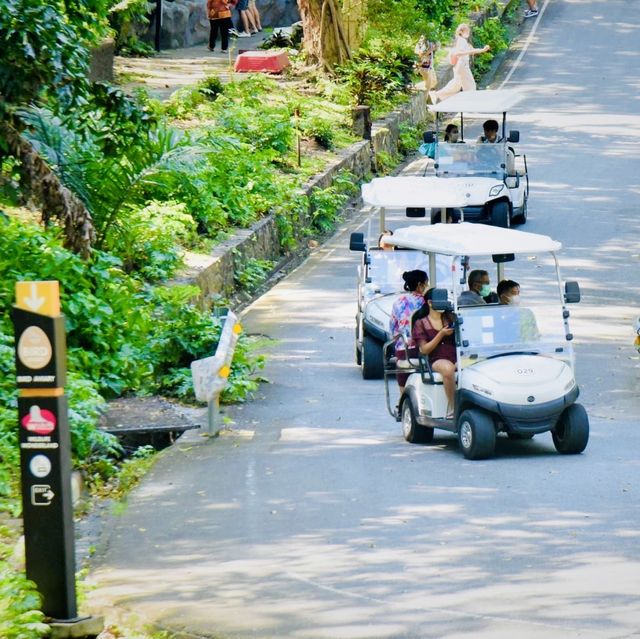 เที่ยวชมคาปิบาร่าสุดน่ารัก @สวนสัตว์เปิดเขาเขียว