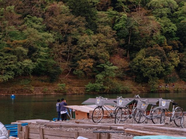 Explore Arashiyama like a local