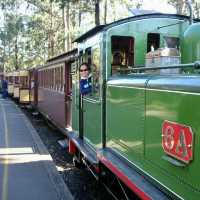 Puff puff! Puffing Billy Train Ride! 🚂 