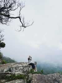 “ฮ่มหมอก บอกฮัก”อุทยานแห่งชาติภูแลนคา🌫️