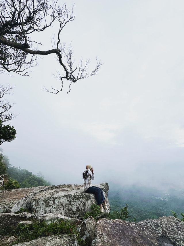 “ฮ่มหมอก บอกฮัก”อุทยานแห่งชาติภูแลนคา🌫️