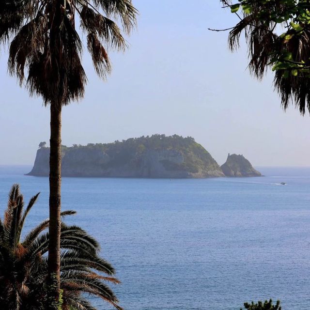 🏝️서귀포의 일랑일랑, 몽글한 범섬 감성