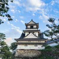 穿越時光！高知城感受歷史與浪漫！🏯🌸🌳