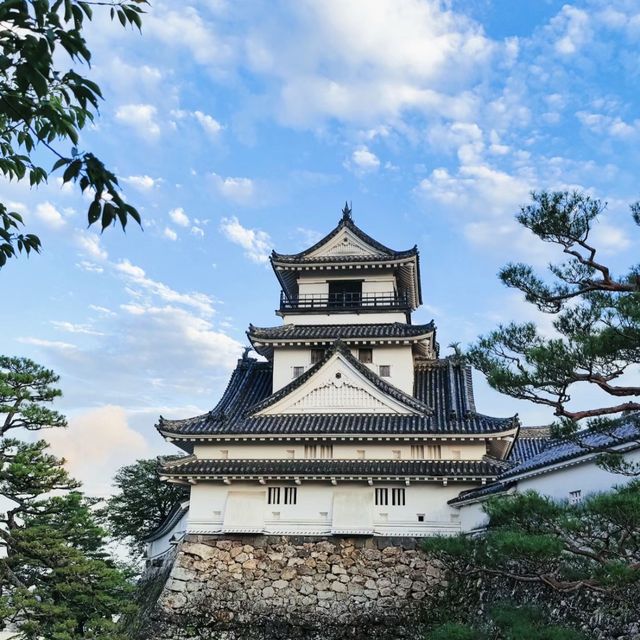 穿越時光！高知城感受歷史與浪漫！🏯🌸🌳