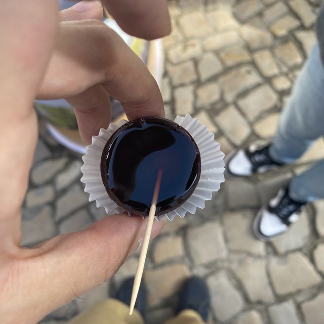 아름다운 골목길을 자랑하는 아기자기한 유럽마을, 오비두스💐