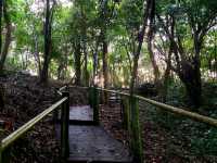 ชมวิวทะเลแบบพาโนรามา @ หอชมวิวเขาขาด ภูเก็ต