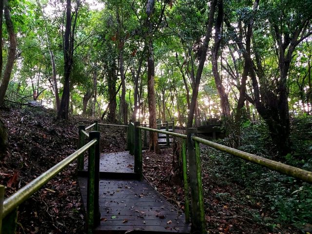 ชมวิวทะเลแบบพาโนรามา @ หอชมวิวเขาขาด ภูเก็ต