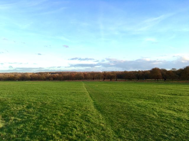 The famous deer park in London