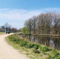 🇳🇱荷蘭海牙🌳🦆🐦The Hague (Den Haag)🌤️城市風光景色優美