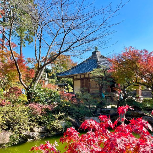 Zensui-ji: Miracles on Mount Iwane