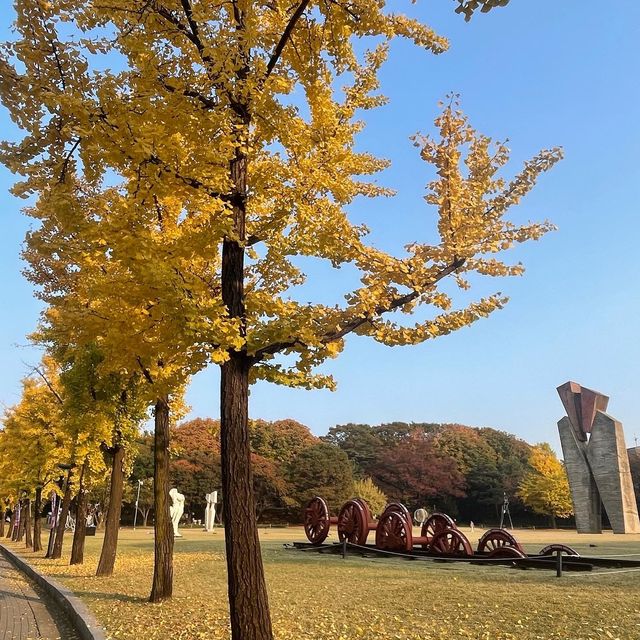 Free Park in Seoul during Autumn for 🍁🍂