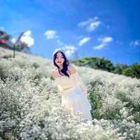 จุดเช็คอินแห่งใหม่เขาค้อ สวนดอกไม้&คาเฟ่🌸🌼